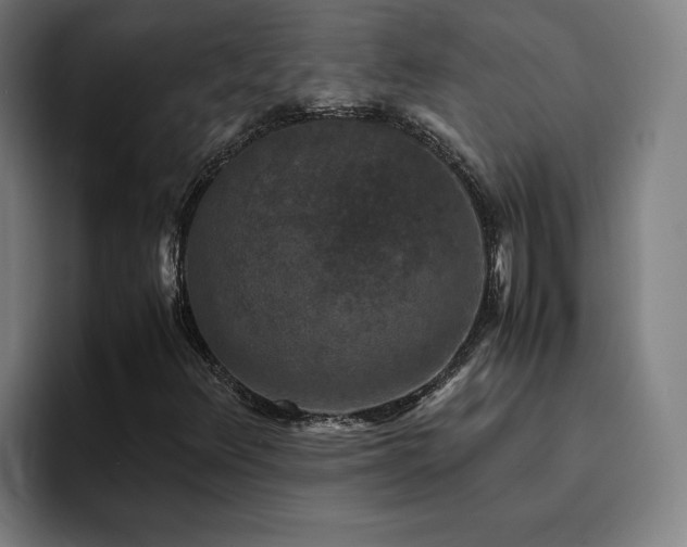 X0000094821348200711161519