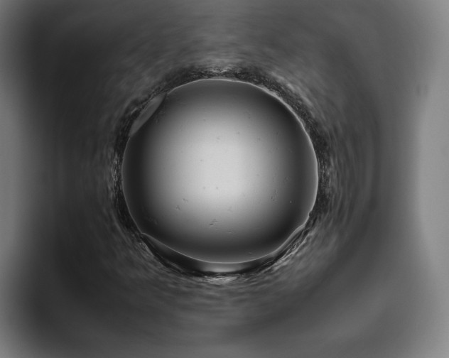 X0000094821349200711161519