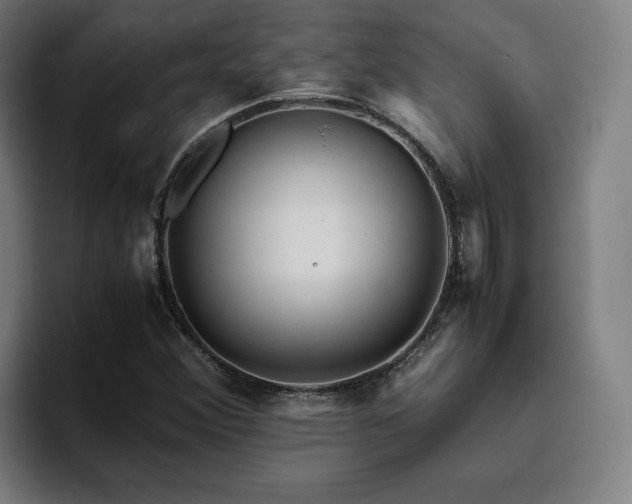X0000094821356200711161519