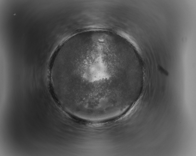 X0000094821357200711161519