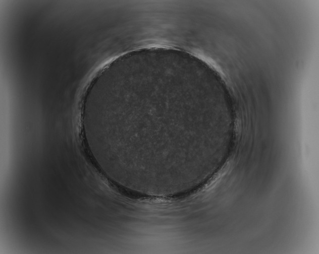 X0000094821359200711161519