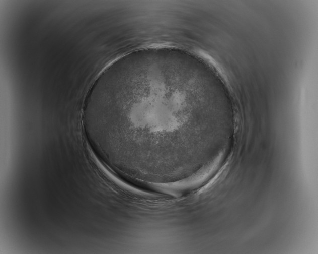 X0000094821361200711161519