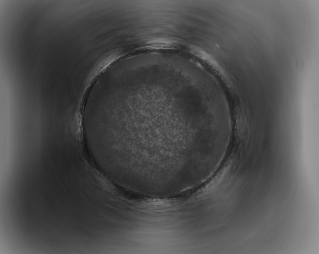 X0000094821362200711161519