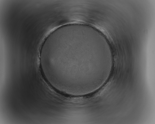 X0000094821363200711161519