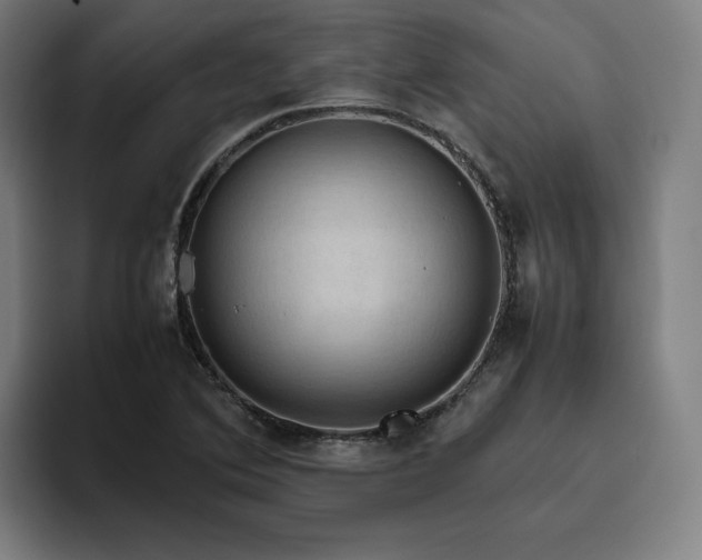 X0000094821364200711161519