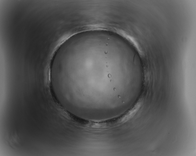 X0000094821365200711161519