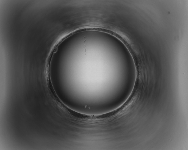 X0000094821366200711161519