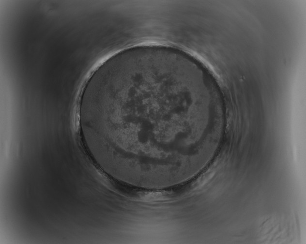 X0000094821367200711161519