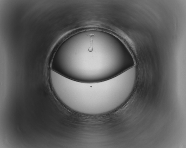 X0000094821368200711161519