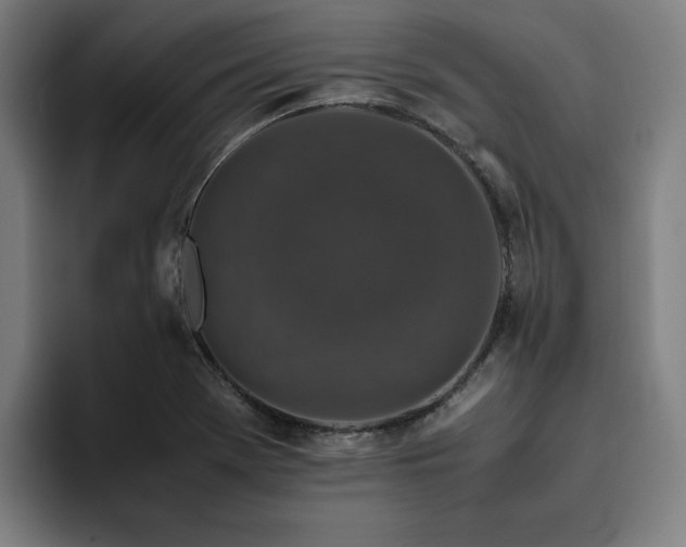 X0000094821369200711161519