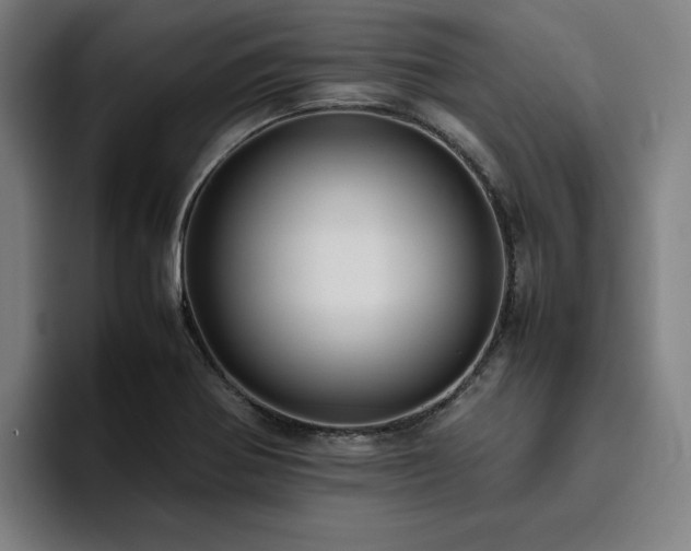 X0000094821370200711161519