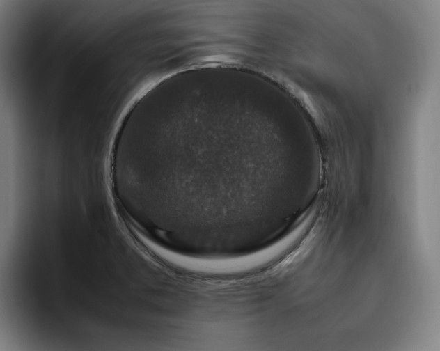 X0000094821373200711161519