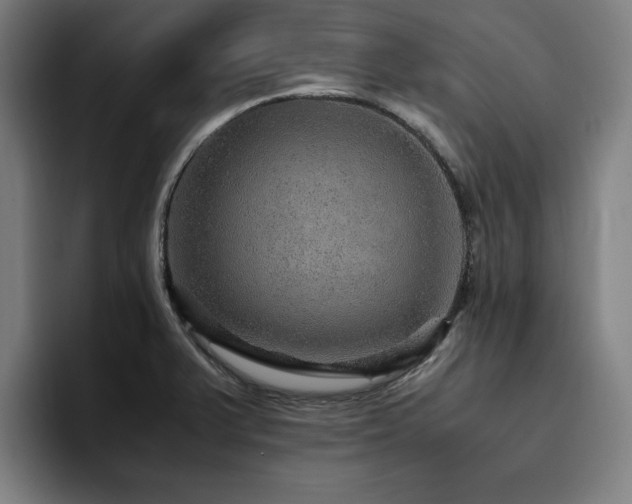 X0000094821375200711161519
