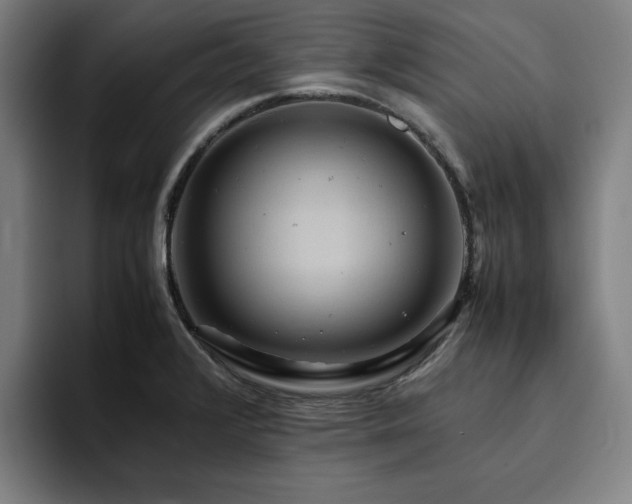 X0000094821376200711161519