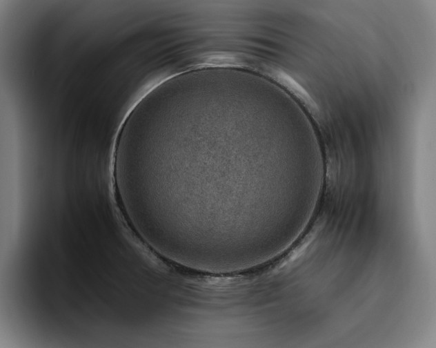 X0000094821378200711161519