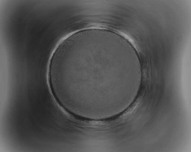 X0000094821379200711161519