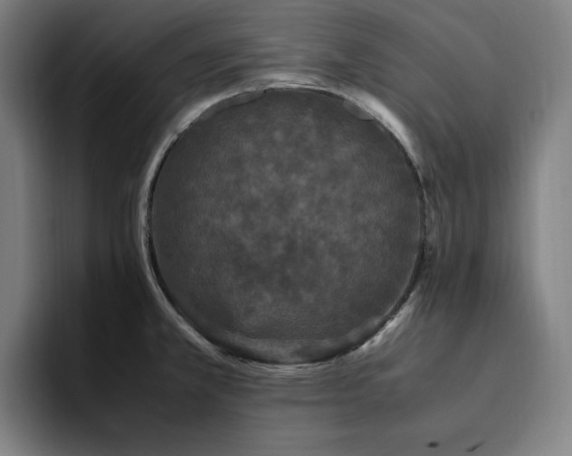 X0000094821381200711161519