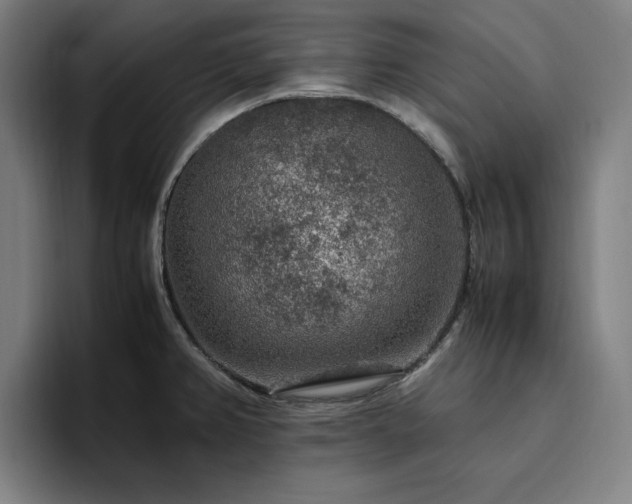 X0000094821382200711161519