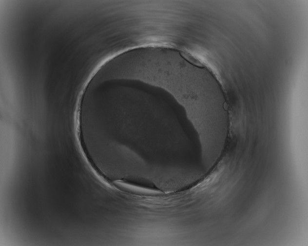 X0000094821383200711161519