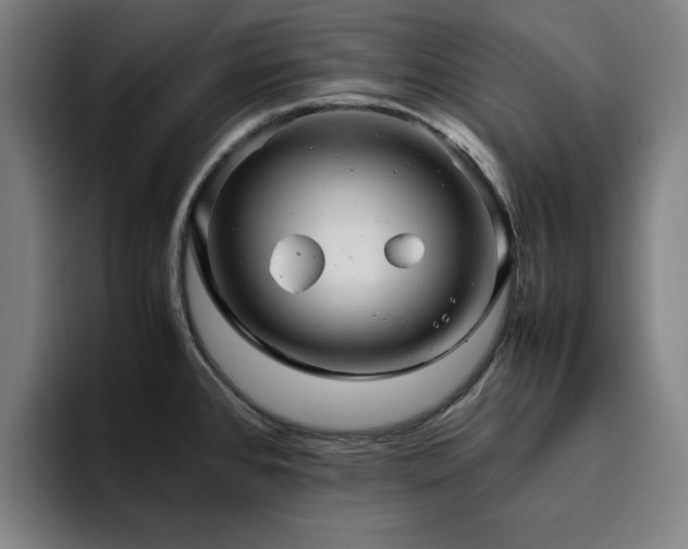 X0000094821384200711161519