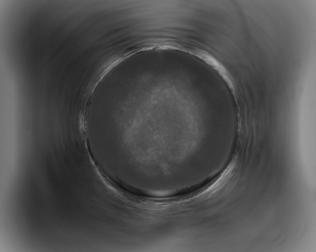 X0000094821385200711161519
