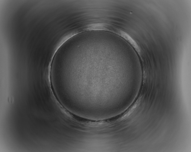X0000094821386200711161519