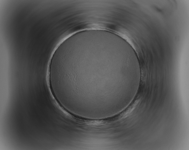 X0000094821387200711161519