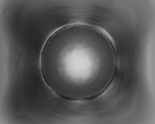 X0000094821388200711161519