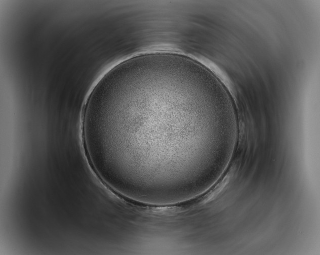 X0000094821390200711161519