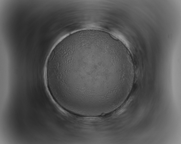 X0000094821391200711161519