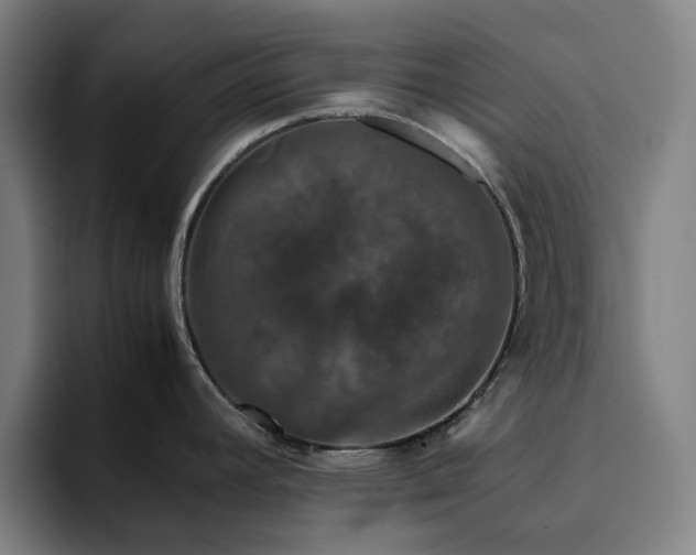 X0000094821392200711161519