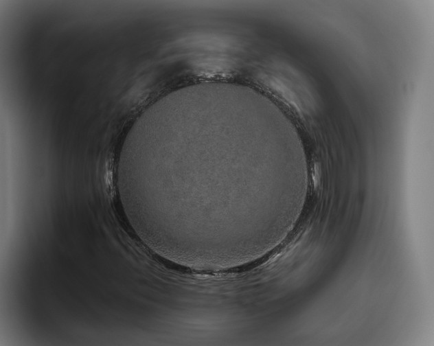 X0000094821396200711161518