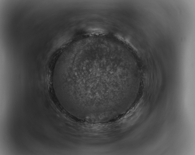 X0000094821399200711161518