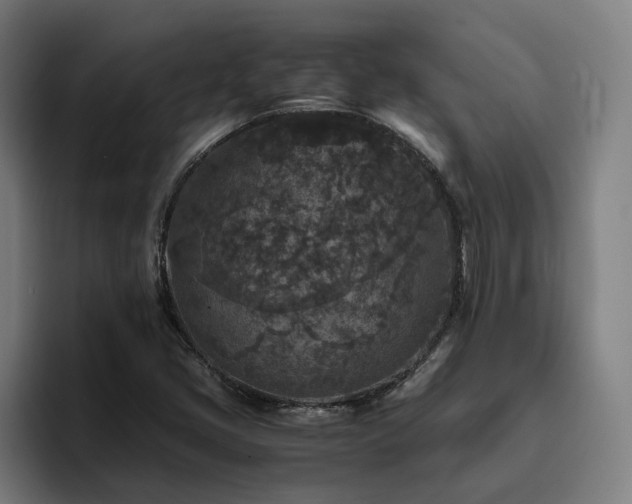 X0000094821405200711161518