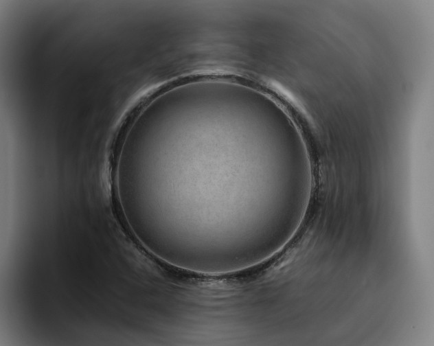 X0000094821408200711161518