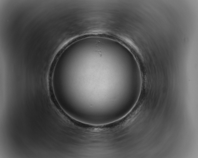 X0000094821412200711161518
