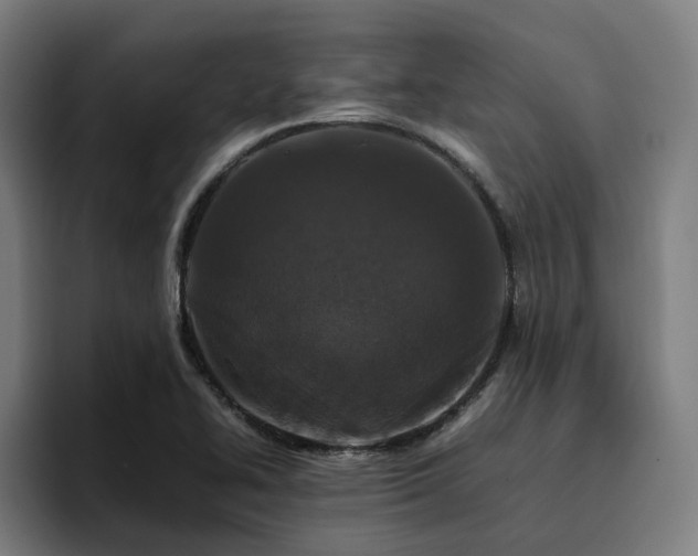 X0000094821414200711161518