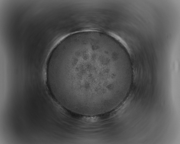 X0000094821415200711161518