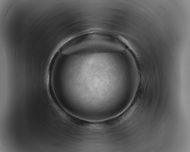 X0000094821418200711161518