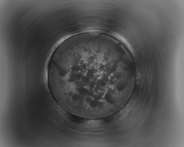 X0000094821419200711161518