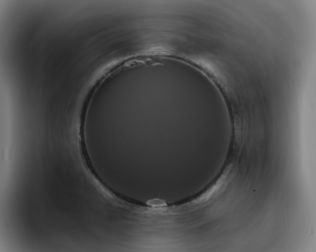 X0000094821422200711161519