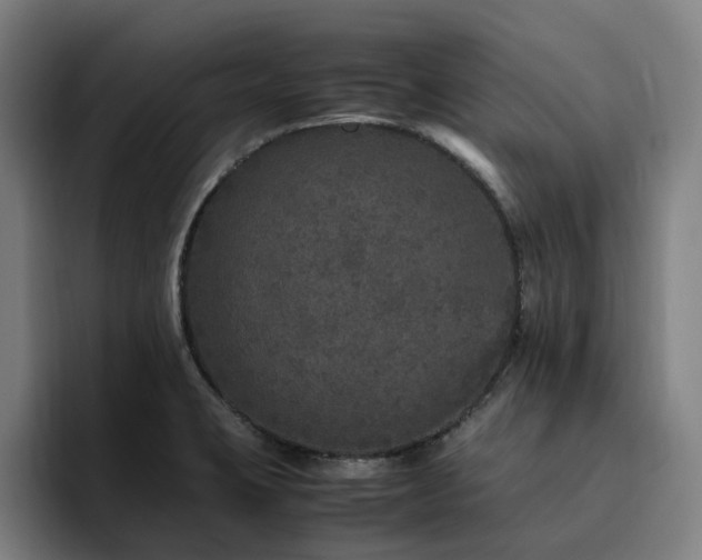X0000094821423200711161519