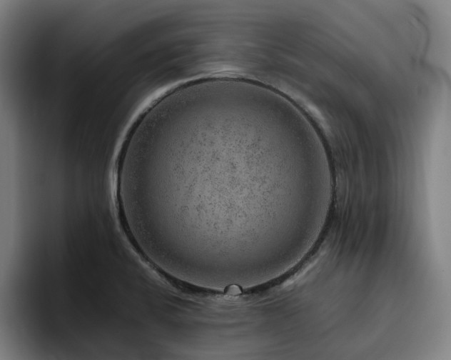 X0000094821424200711161519