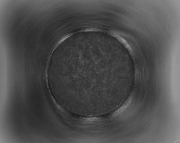 X0000094821425200711161519