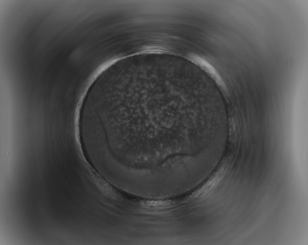 X0000094821427200711161519