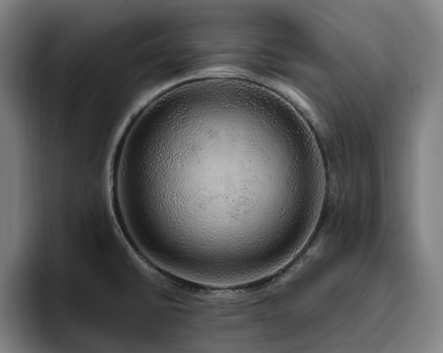 X0000094821430200711161519