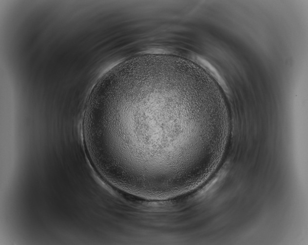 X0000094821433200711161519