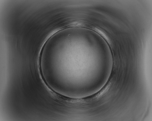 X0000094821434200711161519