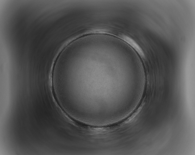 X0000094821436200711161519