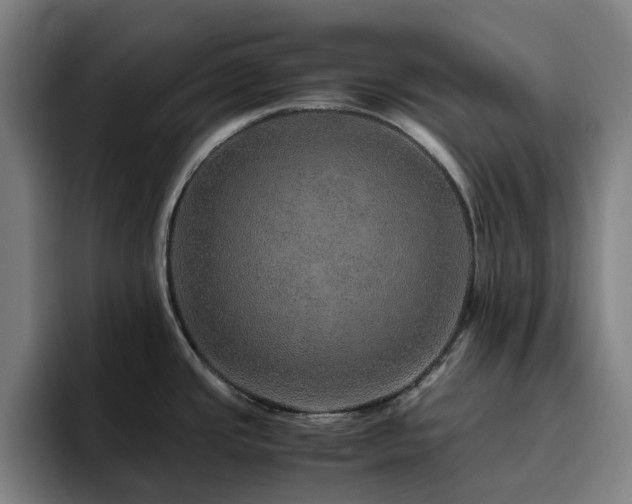 X0000094821437200711161519